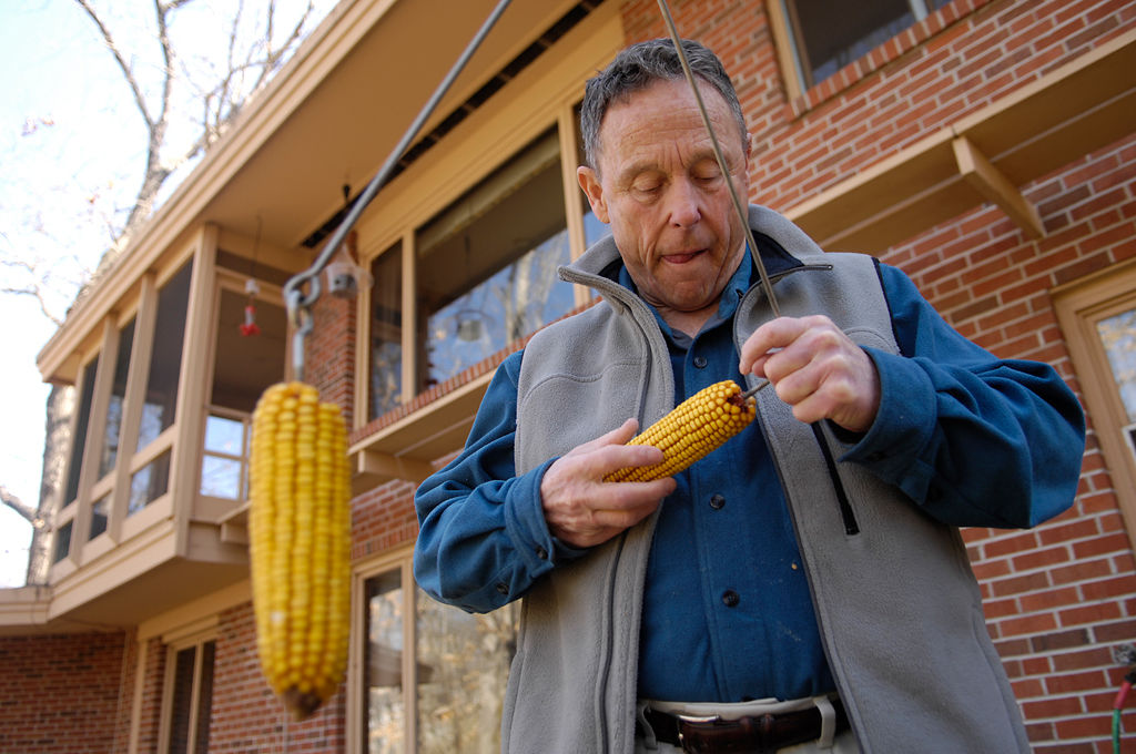 March 16, 2007 : Darwin checks on bird feeders in his backyard.